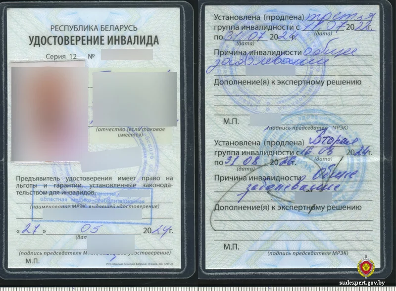 В Бобруйске раскрыта схема подделки документов для получения льгот и водительских прав