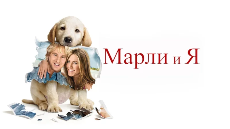 Киновыходные дома: отличные фильмы и сериалы для семейного просмотра в МТС ТВ