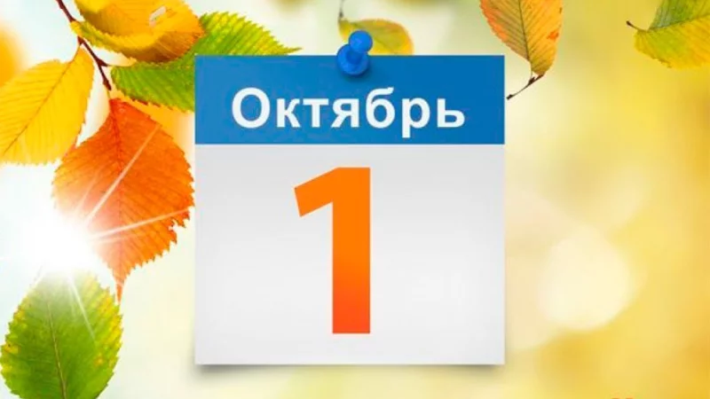 Что изменится в жизни белорусов с 1 октября? Расчет тарифов в ЖКХ, питание в школах, старт охоты на рысь и не только