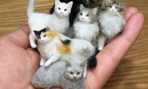 Игрушки из натурального меха: история, виды и безопасность для детей