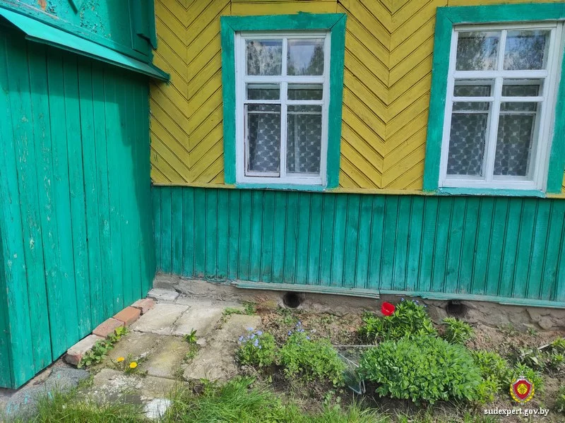 Судебные эксперты помогли установить личность злоумышленника, который совершал кражи из дачных домов под Бобруйском