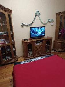 3-х комнатную квартиру