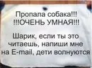Разместить объявление