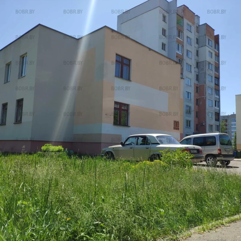 Трава непокошена даже возле центрального офиса ЖРЭУ города Бобруйска