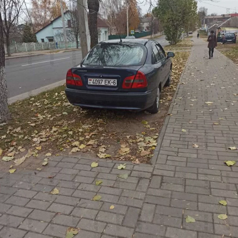 Любимая рубрика