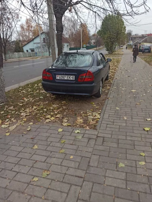 Любимая рубрика