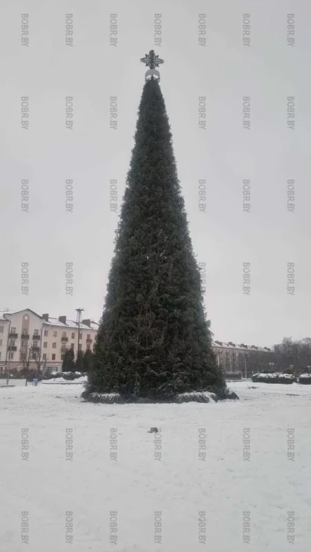 Какая же красивая наша ёлочка без всяких колхоукрашений!
