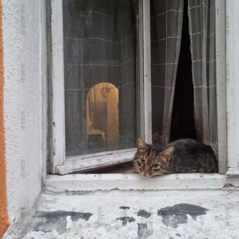 Бобруйчанин уже отдыхает.