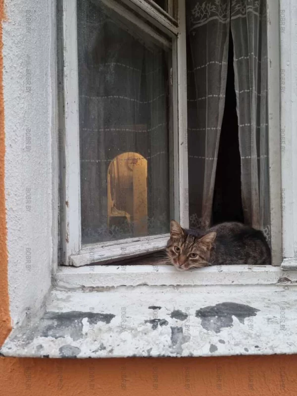 Бобруйчанин уже отдыхает.