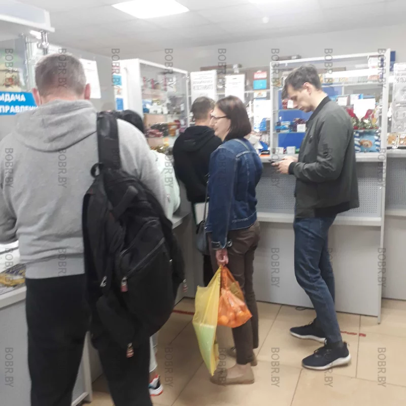 Рассадник каронавируса