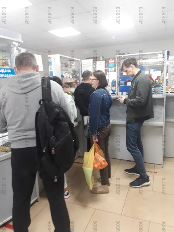 Рассадник каронавируса