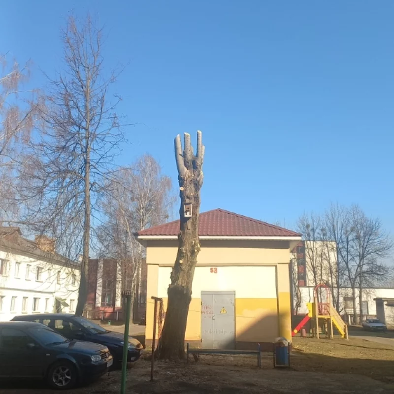 Город для жизни