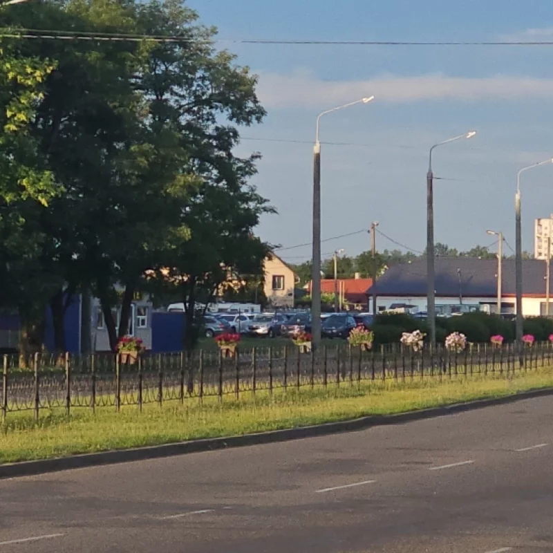 Ограждение на разделительной полосе Крылова украсили цветами в горшках