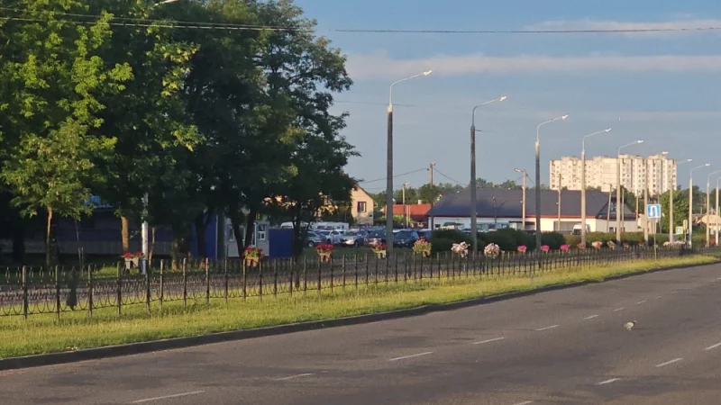 Ограждение на разделительной полосе Крылова украсили цветами в горшках