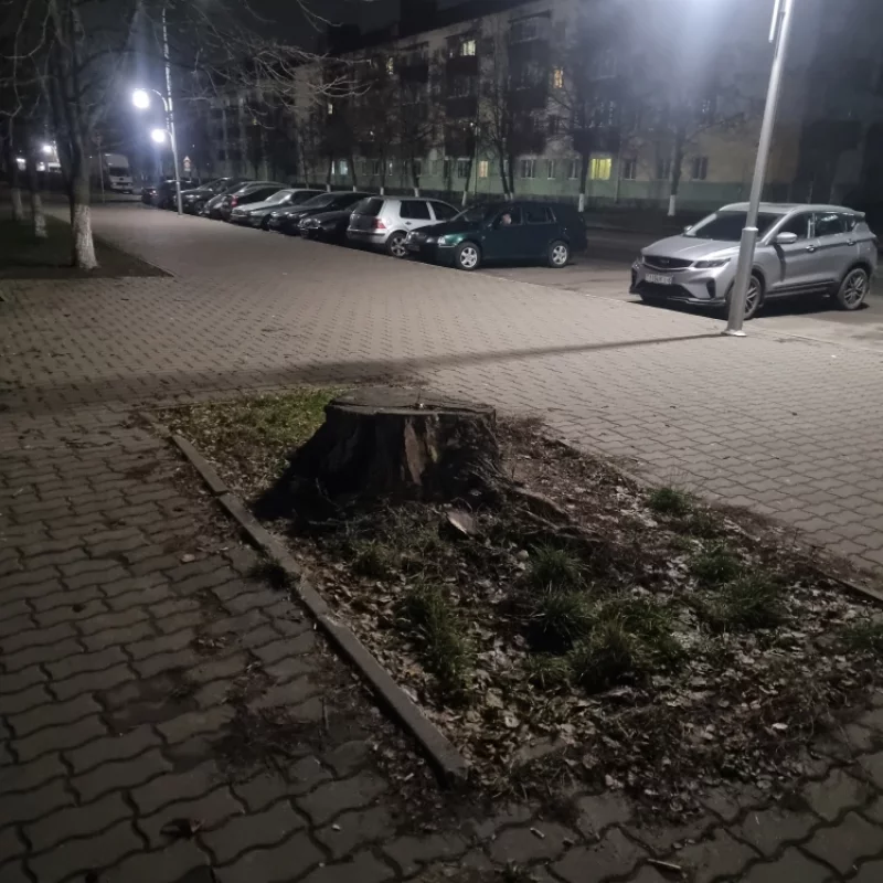 Интересно какой статус на балансе города имеет эта конструкция? может малой архитектурная форма или памятник бесхозяйственности?