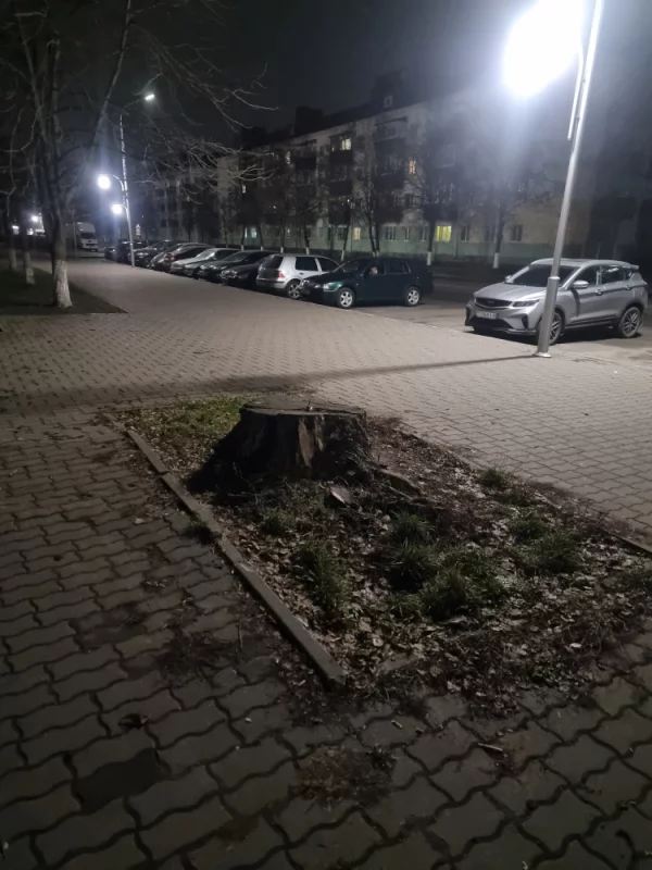 Интересно какой статус на балансе города имеет эта конструкция? может малой архитектурная форма или памятник бесхозяйственности?