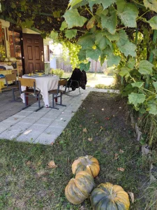 Дача в д.Топорки, в 15 км.от г.Бобруйска