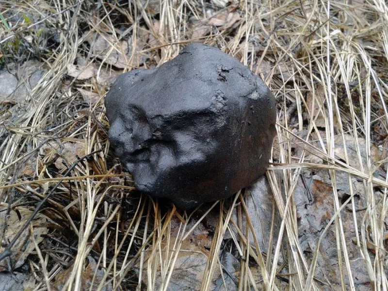Астрономы продолжают поиски самого яркого метеорита за историю наблюдений и просят помощи у бобруйчан и жителей района