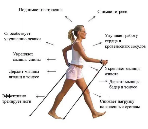 Скандинавская ходьба в Бобруйске