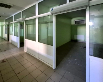 Торговой площади на рынке Птичка. Бобруйск, ул. Дзержинского, 4