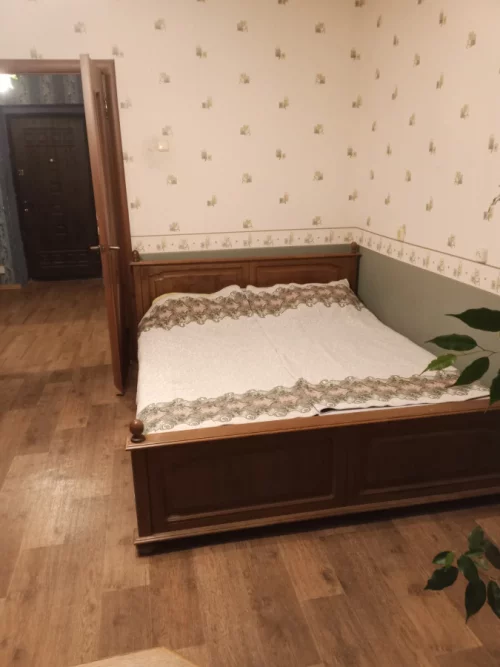 Однокомнатная квартира рядом с Дворцом искусств