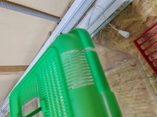 Переноска, терариум