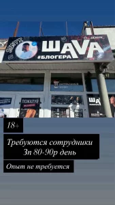 Сотрудники