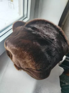 Шапка мужская, мех – котик морской