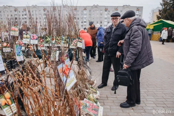 Бобруйск приглашает жителей и гостей города на осеннюю ярмарку «Листопад»