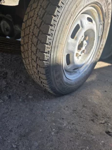 Жига