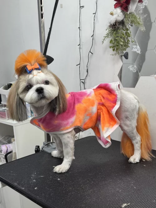 Груминг собак и котов