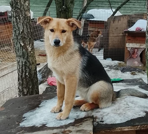 Джина, 6 месяцев