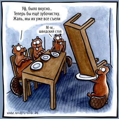 Бобры