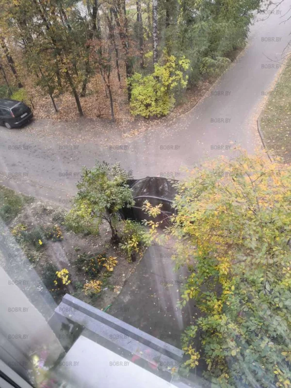 "Паркуюсь где хочу"