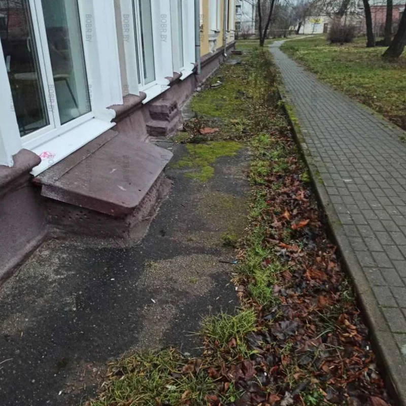 Красивая отмостка