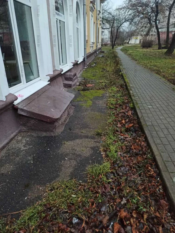 Красивая отмостка