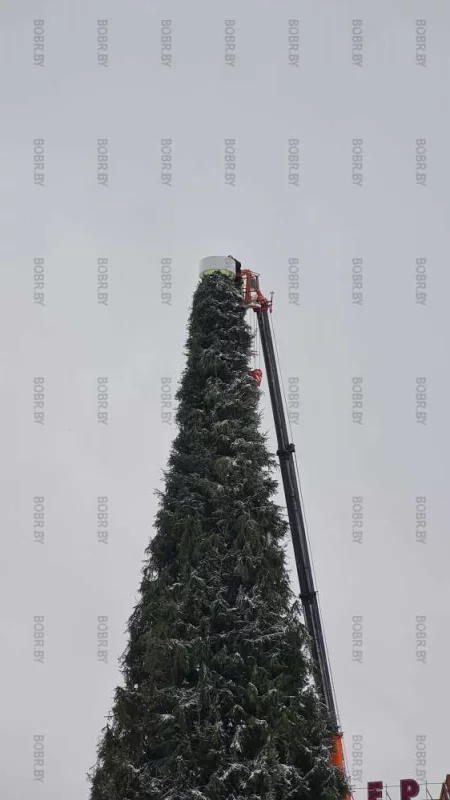  На елочке поправляют звезду которая висела криво