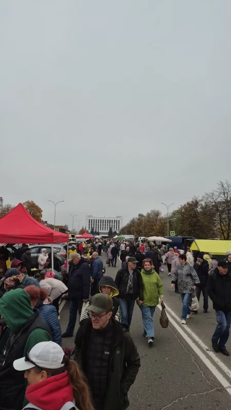 Ярмарка популярна