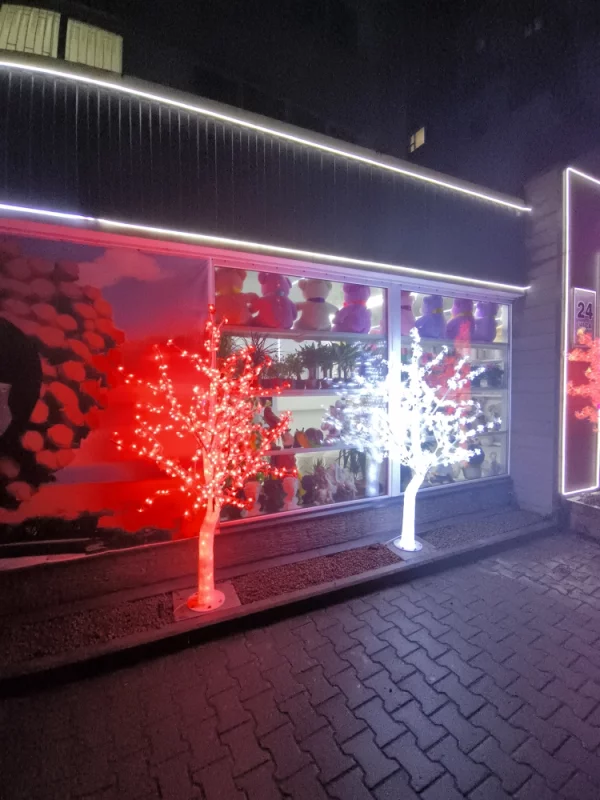 Первые украшения