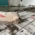 Устройство «мокрой» стяжки пола по грунту