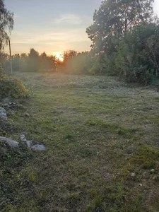 Дом