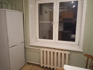 Однушку в центре