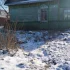 Отдам старый дом на разборку бревен