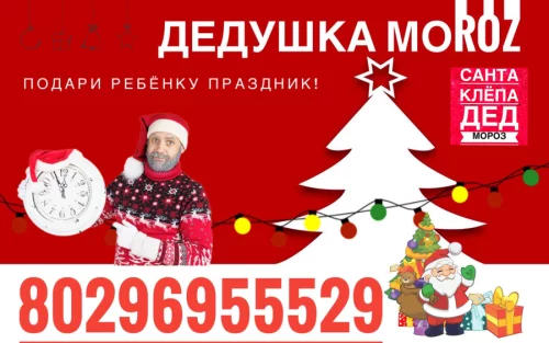 Новый Дед Мороз 2026 настоящая борода