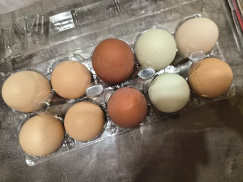 Яйцо домашнее