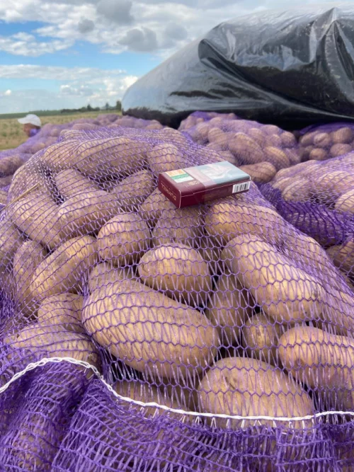 Картофель