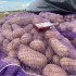 Картофель
