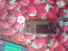 Телефон Honor 50x