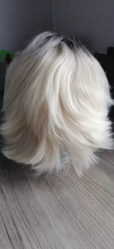 Парик