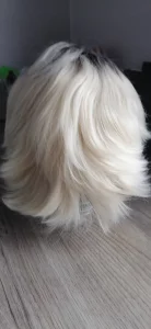 Парик